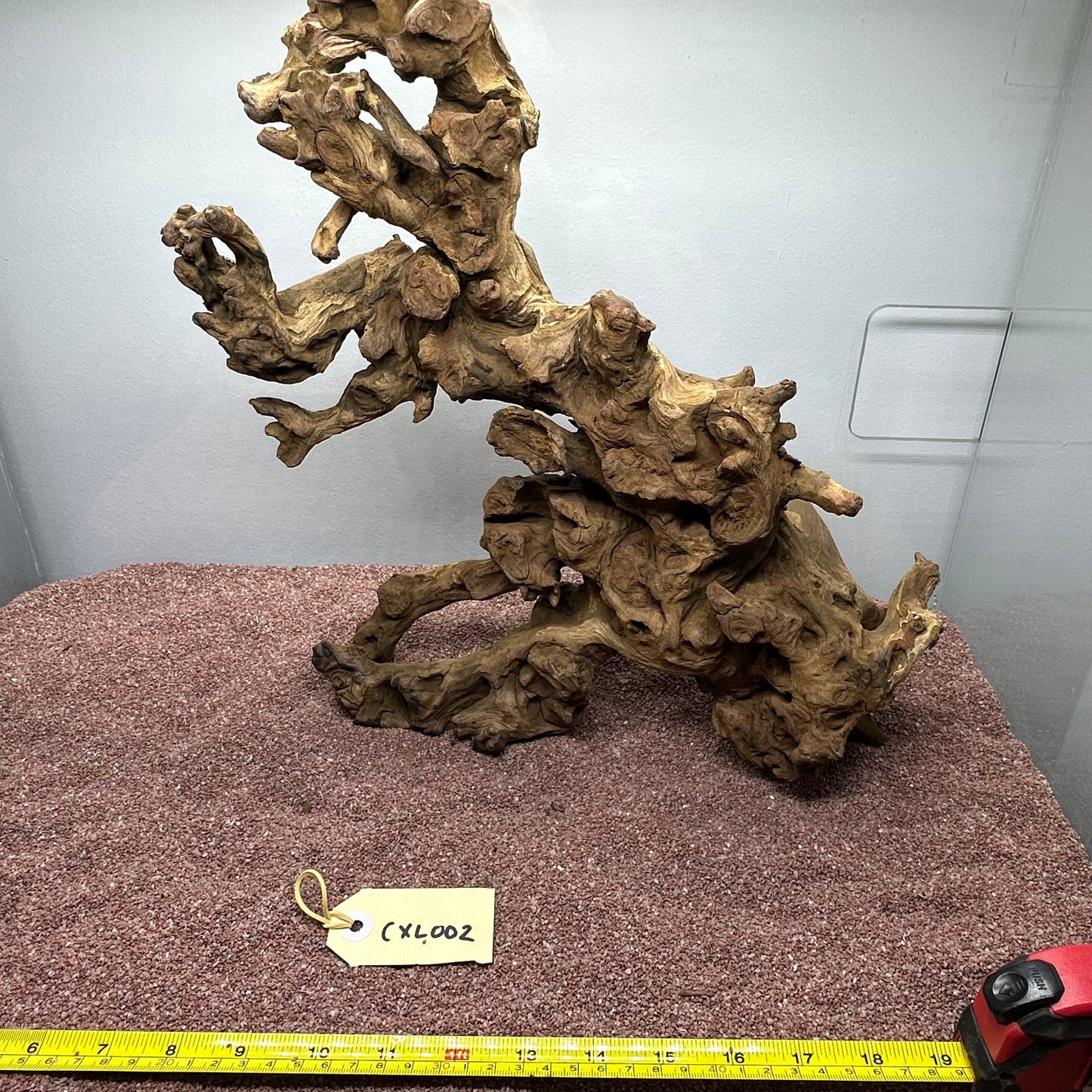 Coral Wood (X Large)