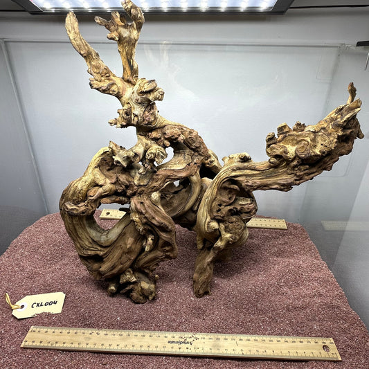 Coral Wood (X Large)