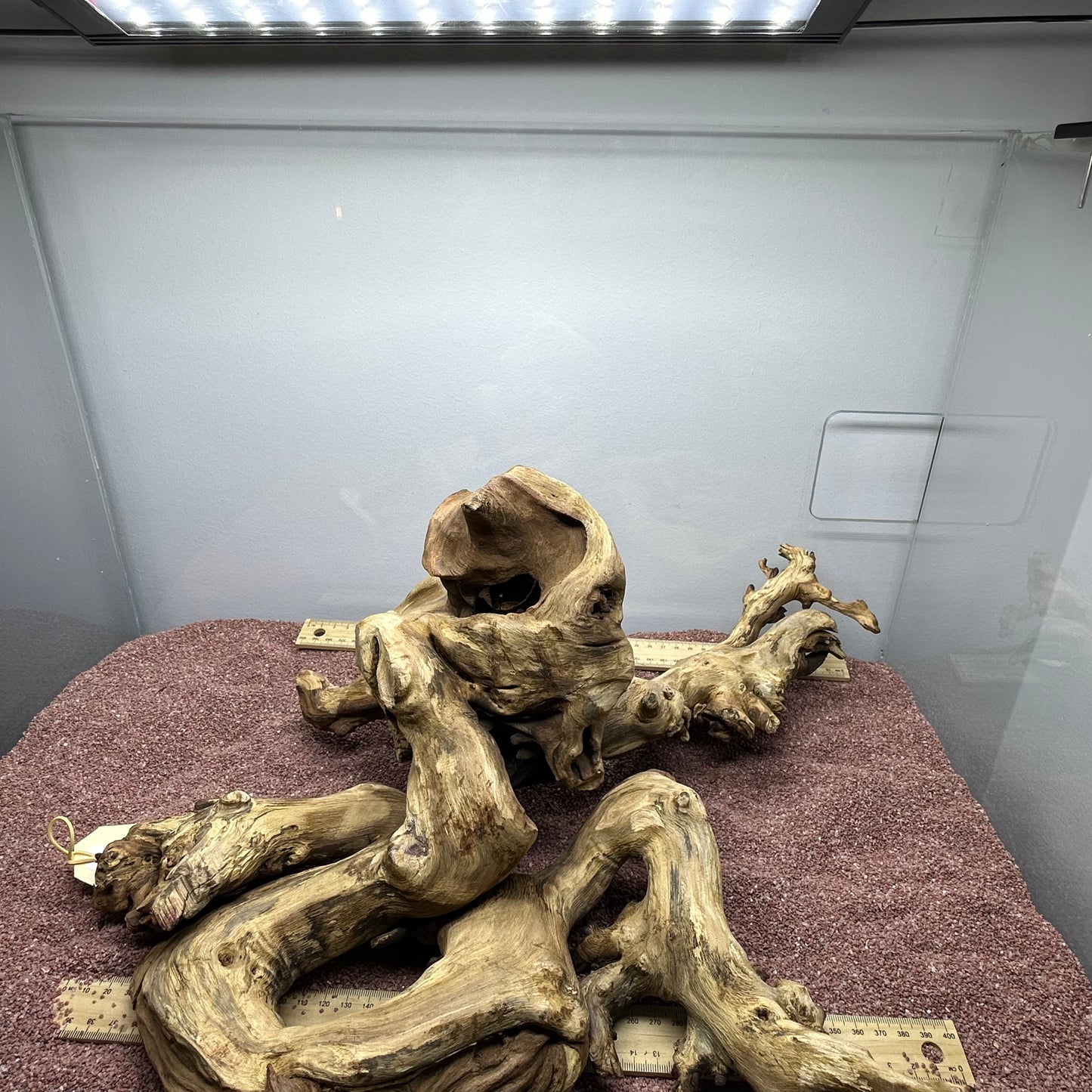 Coral Wood (X Large)