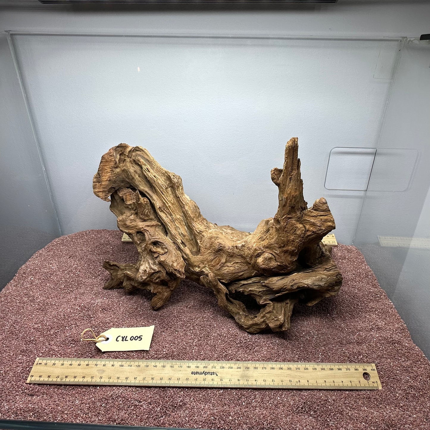 Coral Wood (X Large)