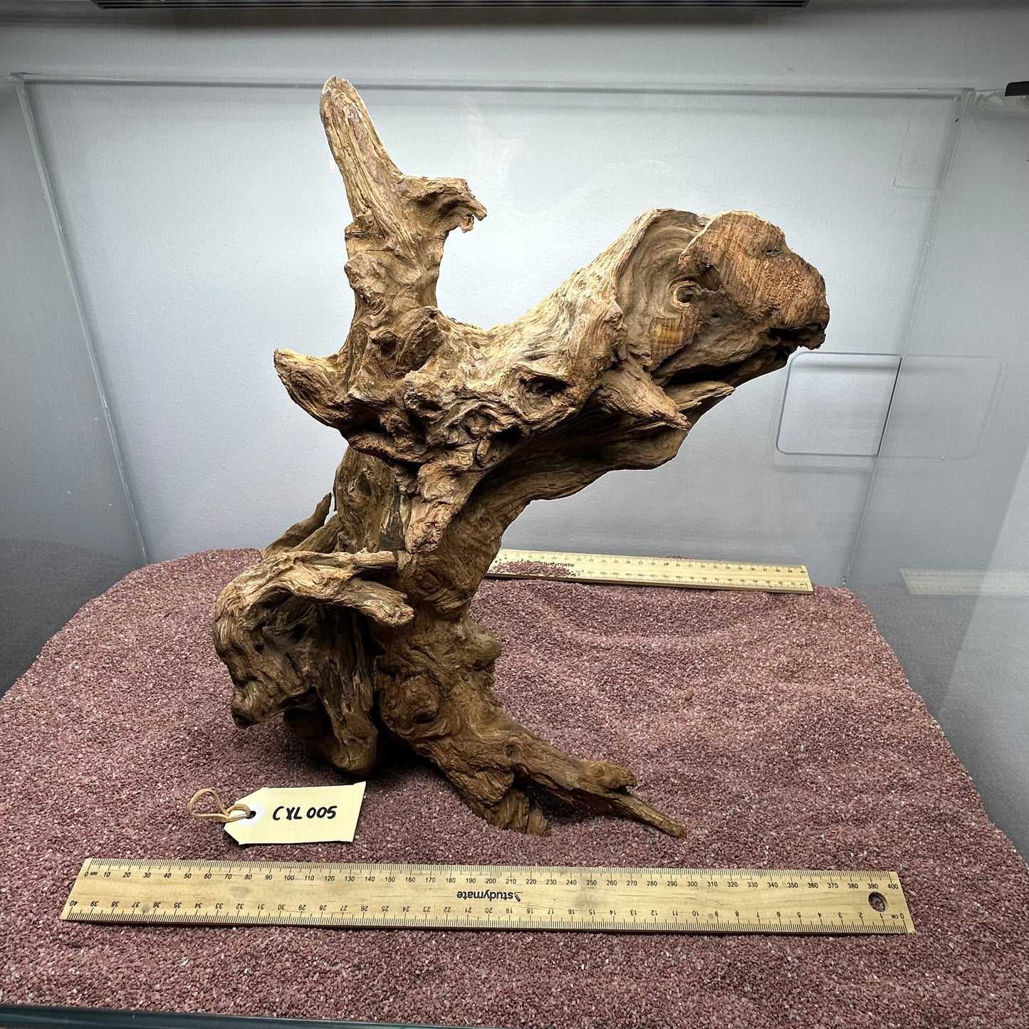 Coral Wood (X Large)