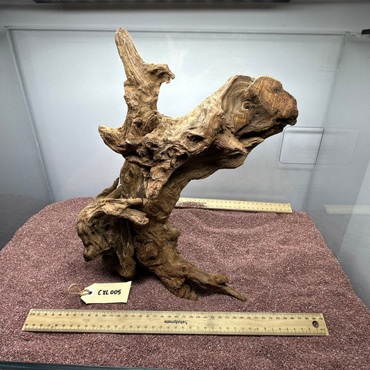 Coral Wood (X Large)