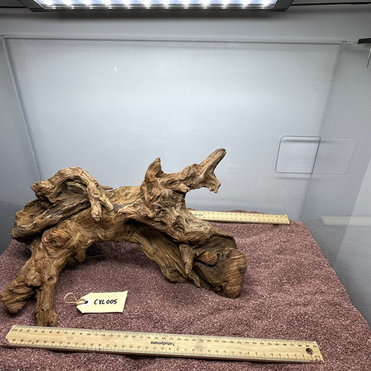Coral Wood (X Large)
