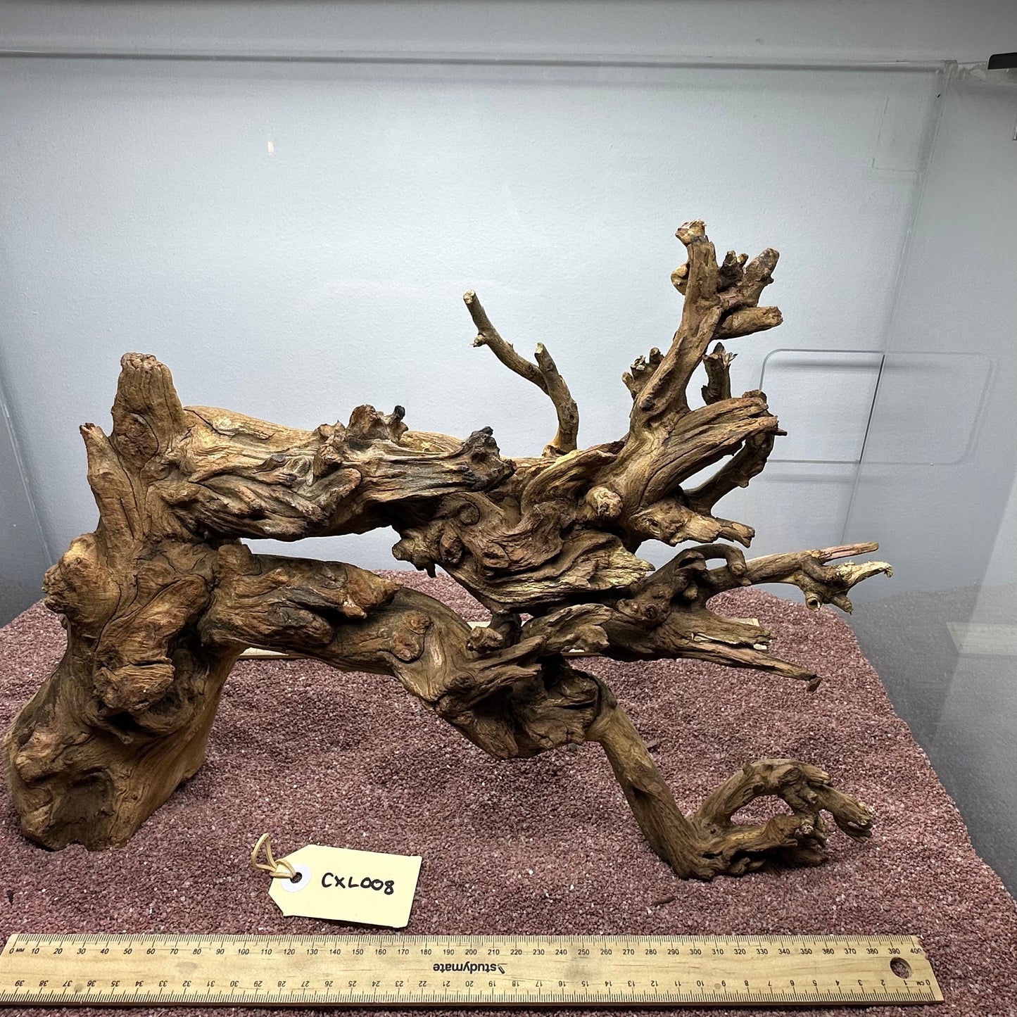Coral Wood (X Large)