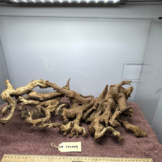 Coral Wood (X Large)