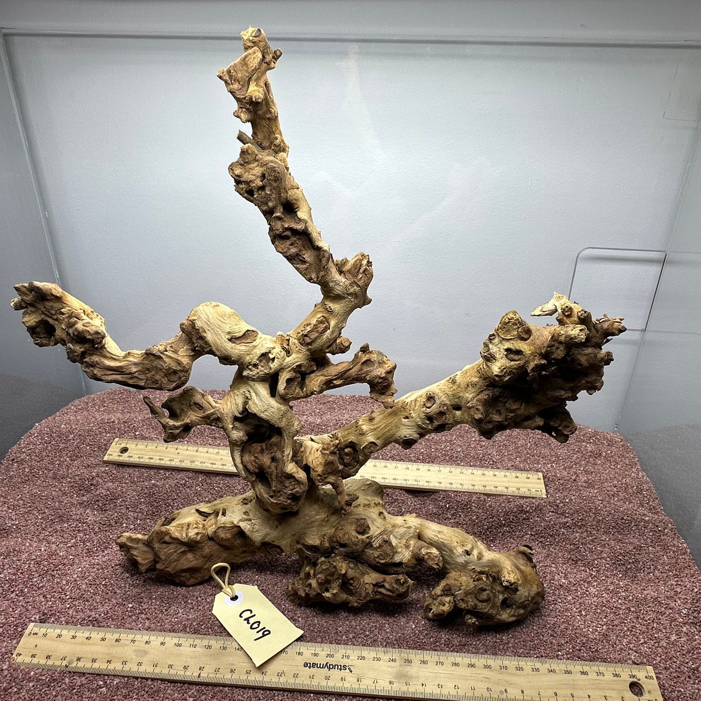Coral Wood (Large)