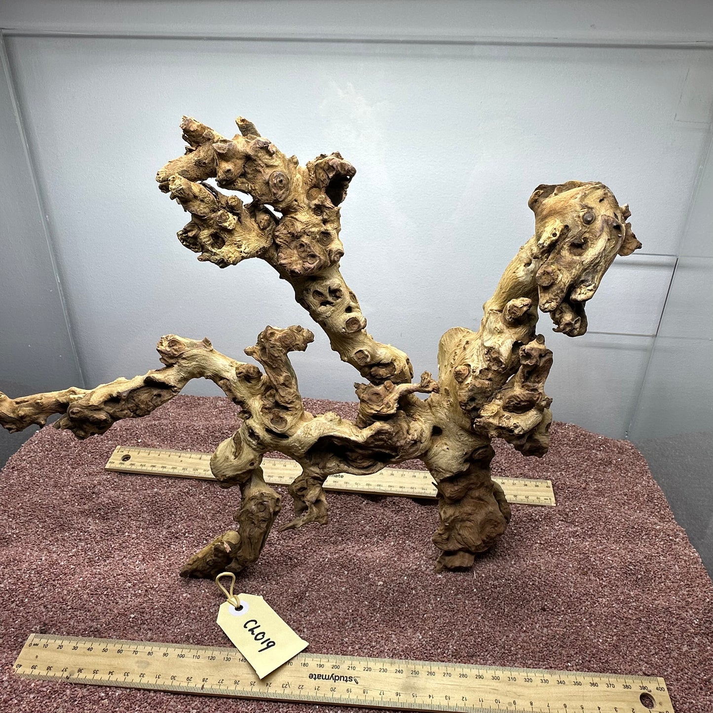 Coral Wood (Large)