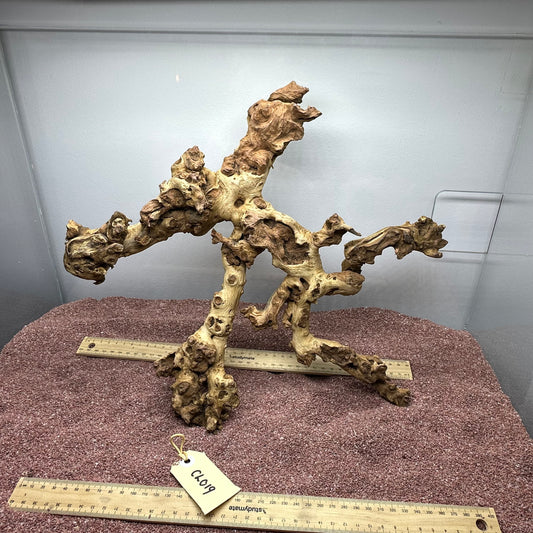 Coral Wood (Large)