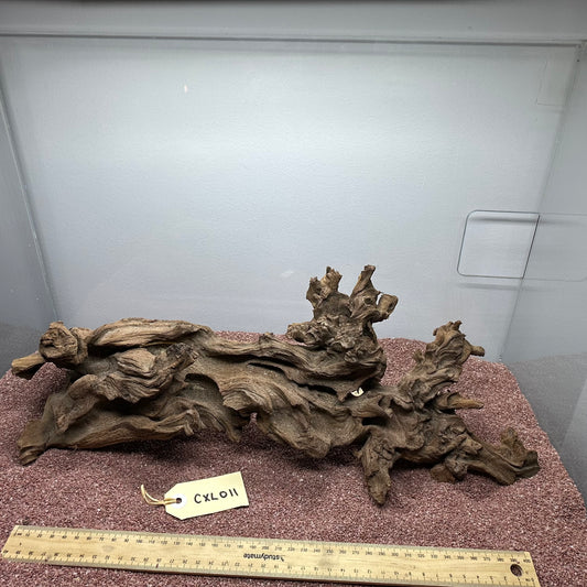 Coral Wood (X Large)