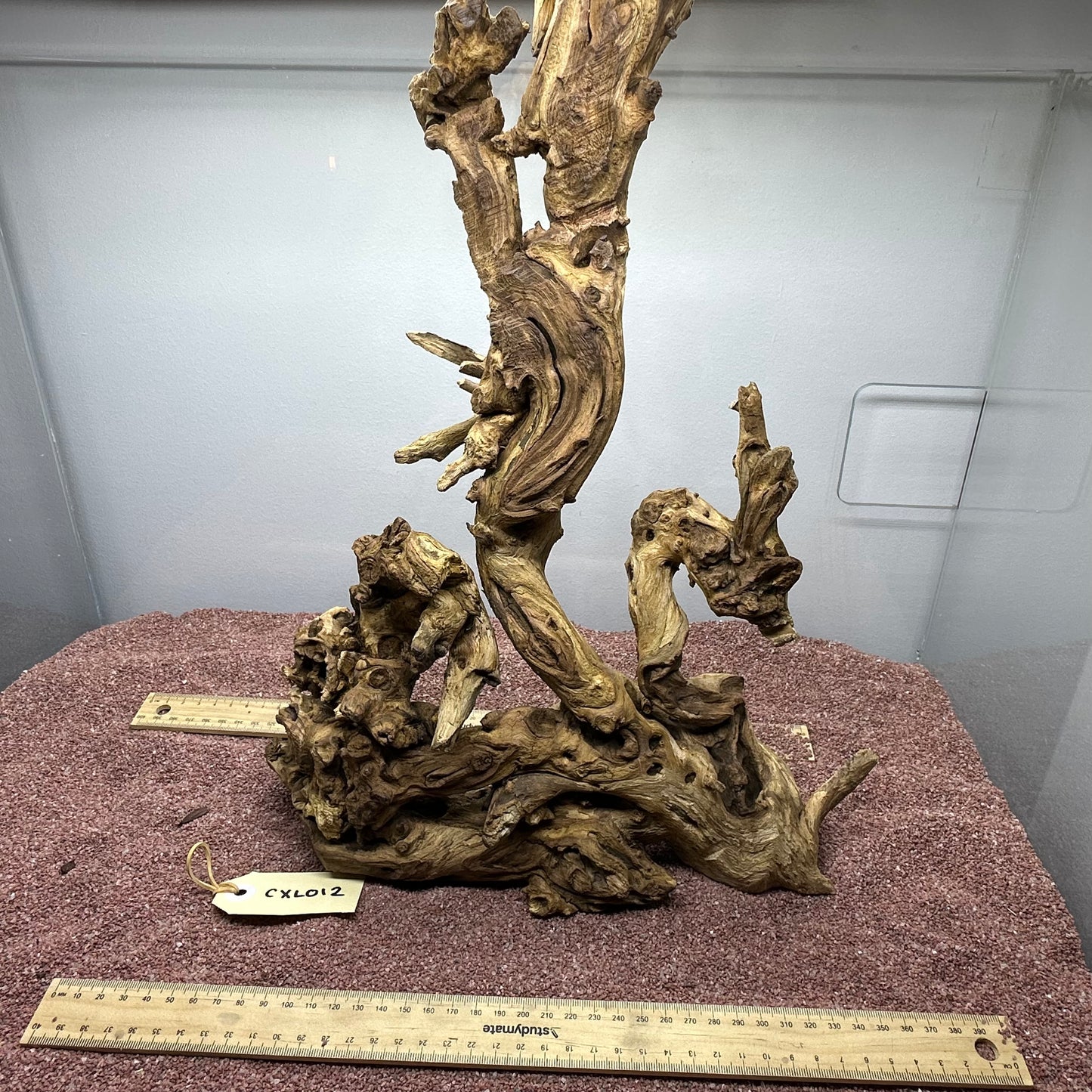 Coral Wood (X Large)