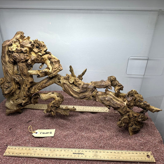 Coral Wood (X Large)