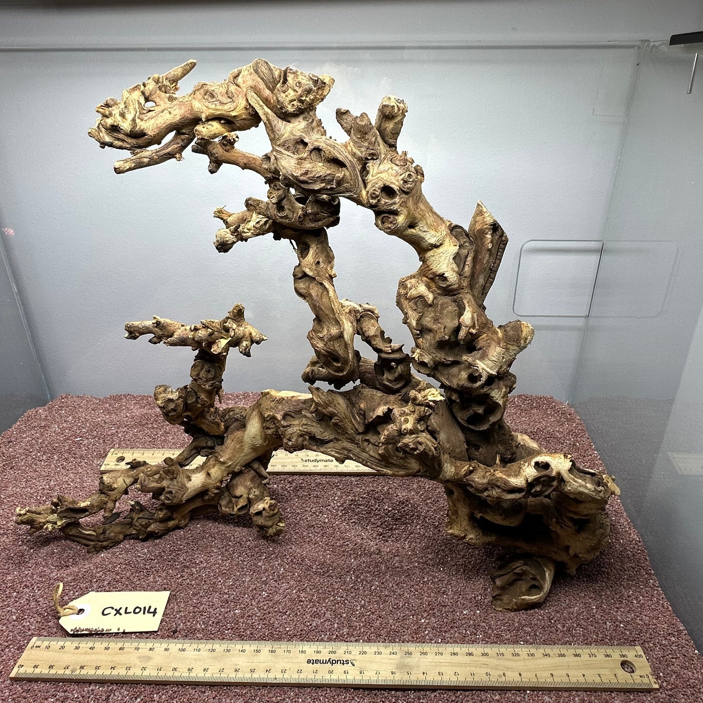 Coral Wood (X Large)