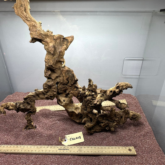 Coral Wood (X Large)