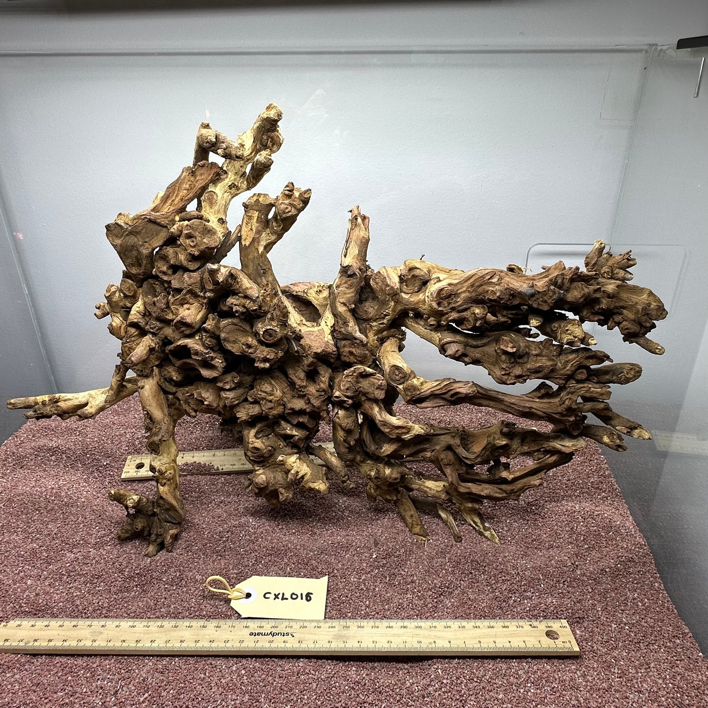 Coral Wood (X Large)