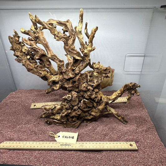 Coral Wood (X Large)