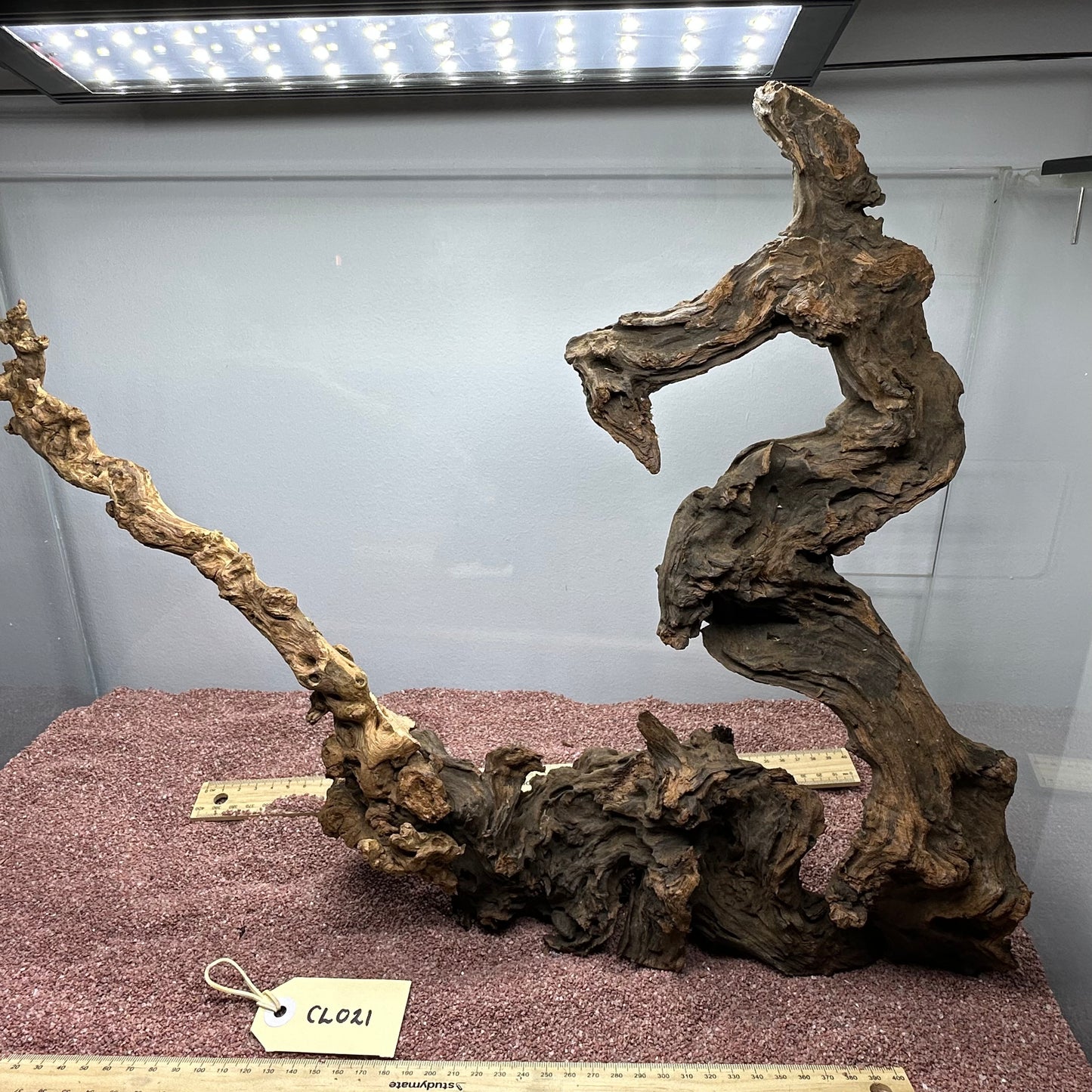 Coral Wood (Large)