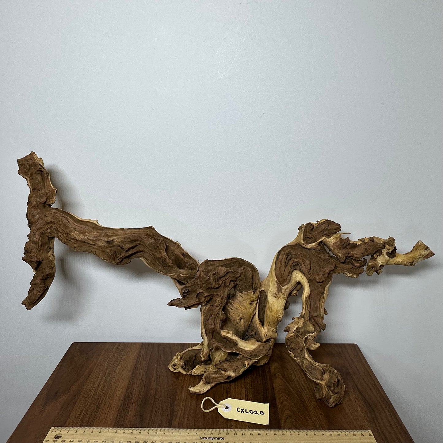 Coral Wood (X Large)