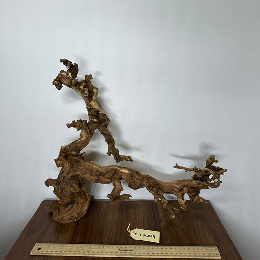 Coral Wood (X Large)