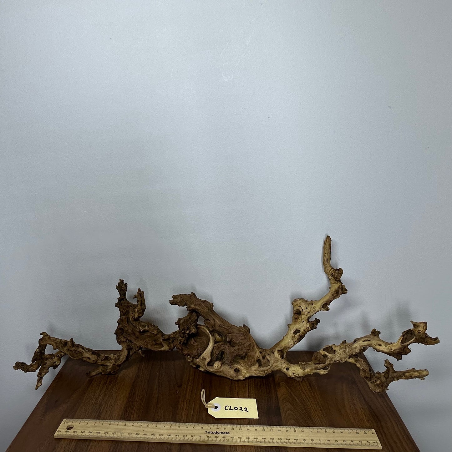 Coral Wood (Large)