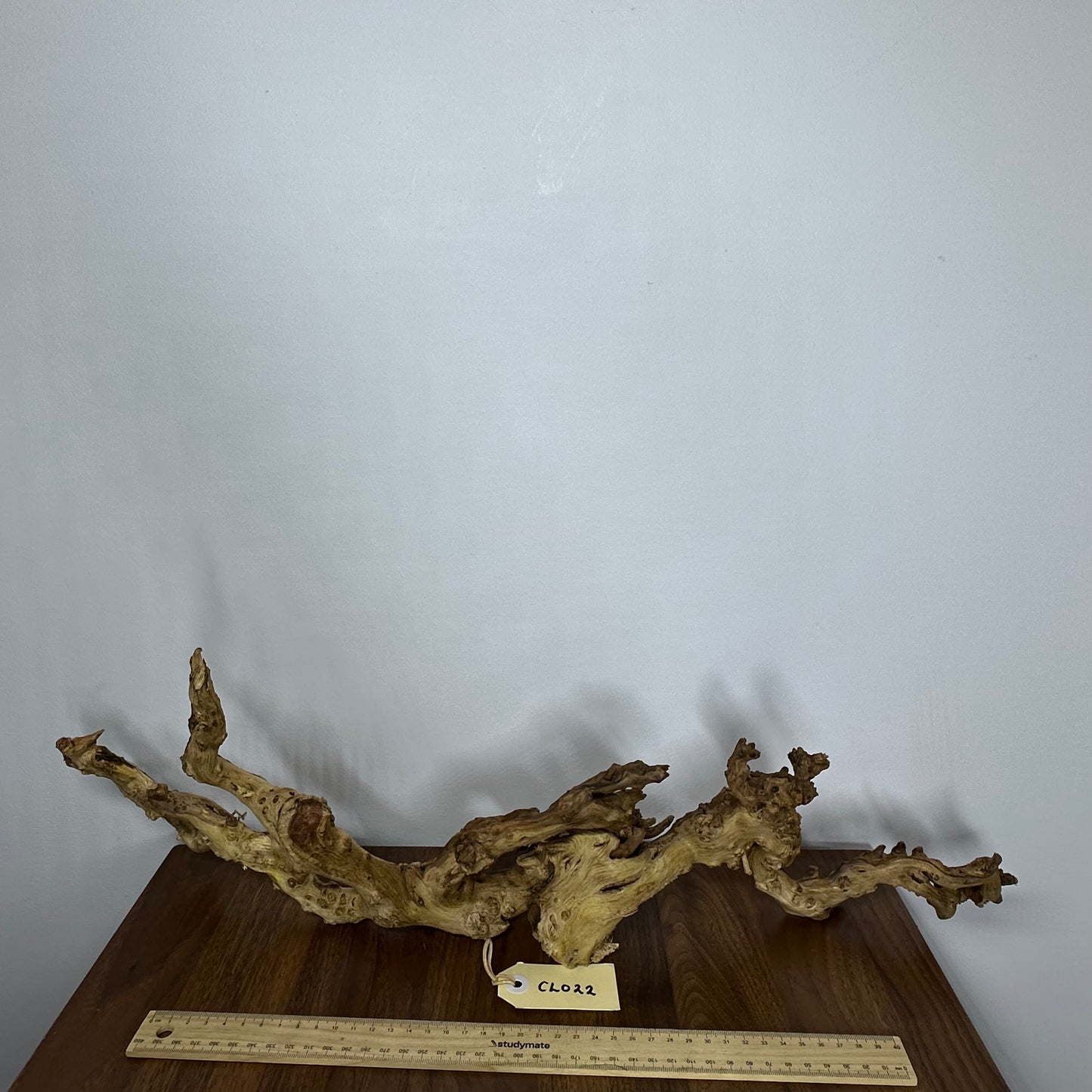 Coral Wood (Large)