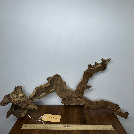 Coral Wood (X Large)