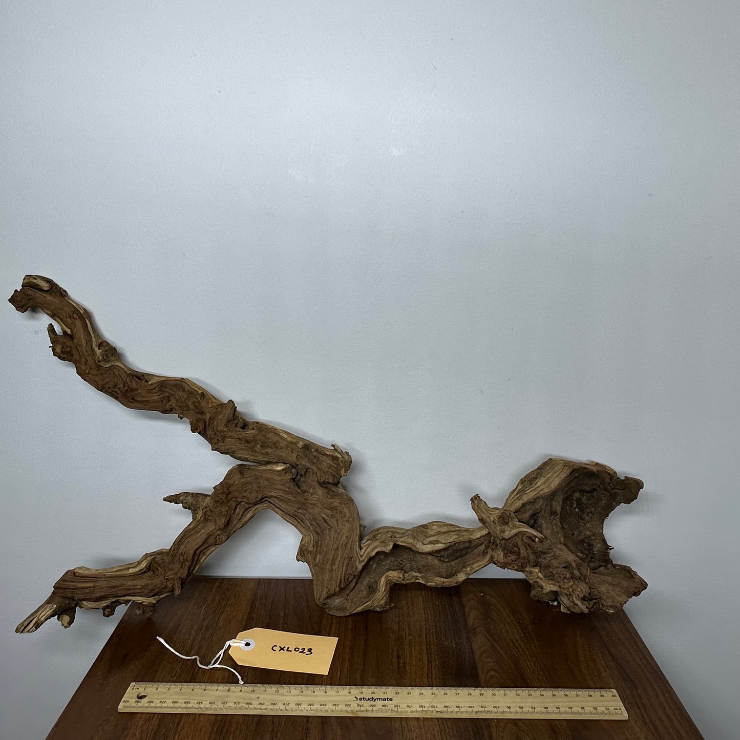 Coral Wood (X Large)