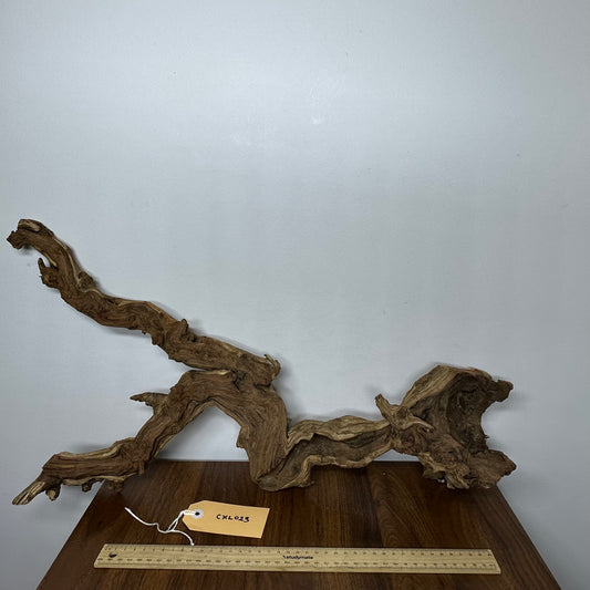 Coral Wood (X Large)