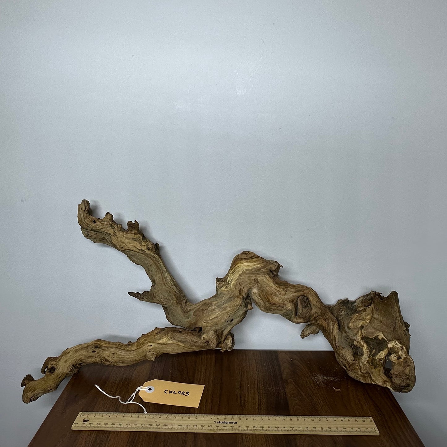 Coral Wood (X Large)