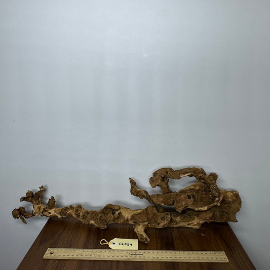 Coral Wood (Large)