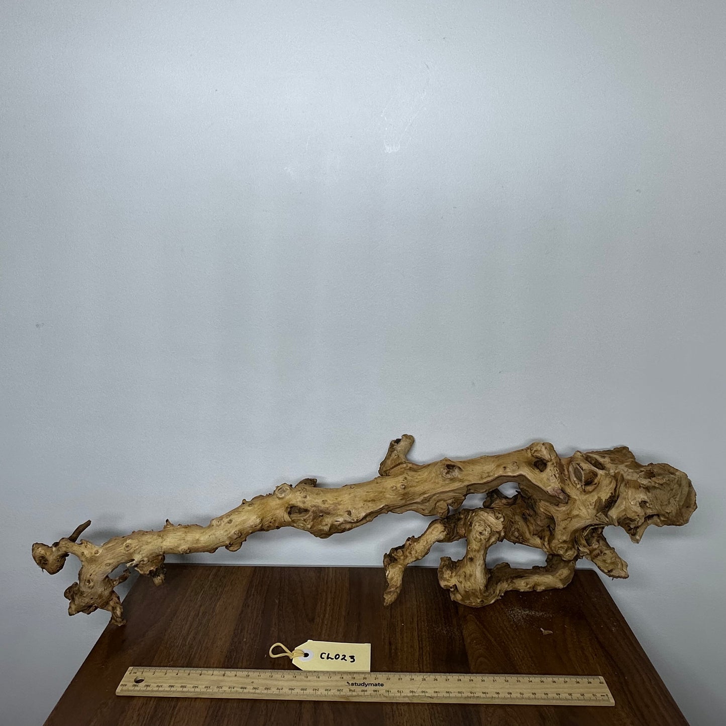 Coral Wood (Large)