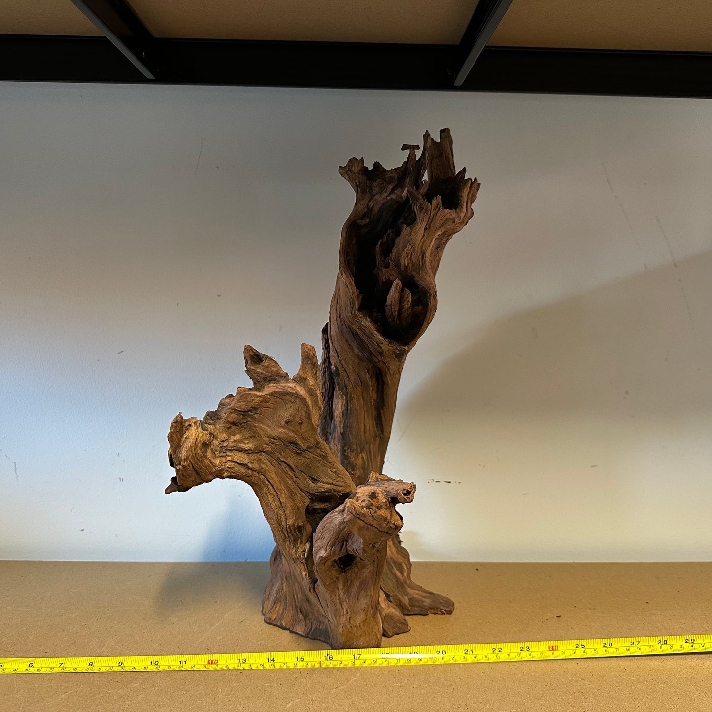 Driftwood (Oversized)
