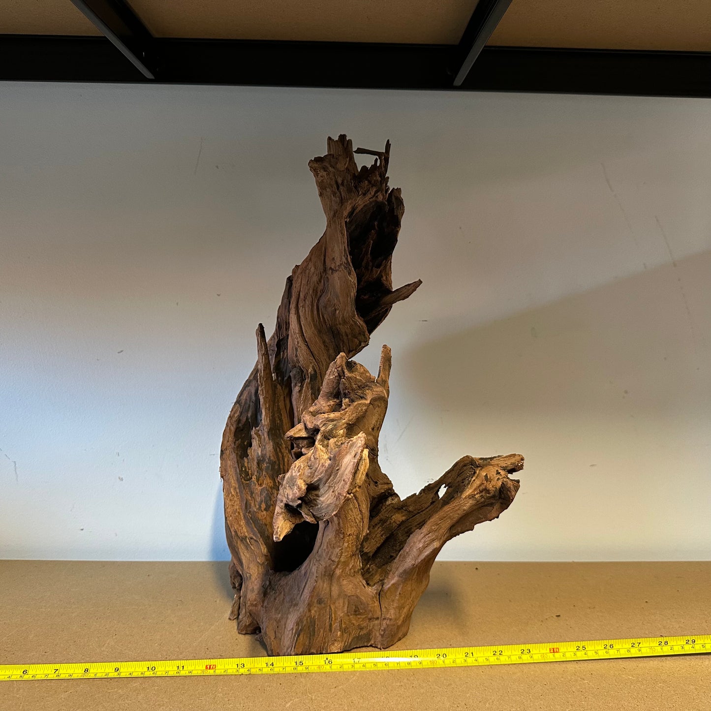 Driftwood (Oversized)