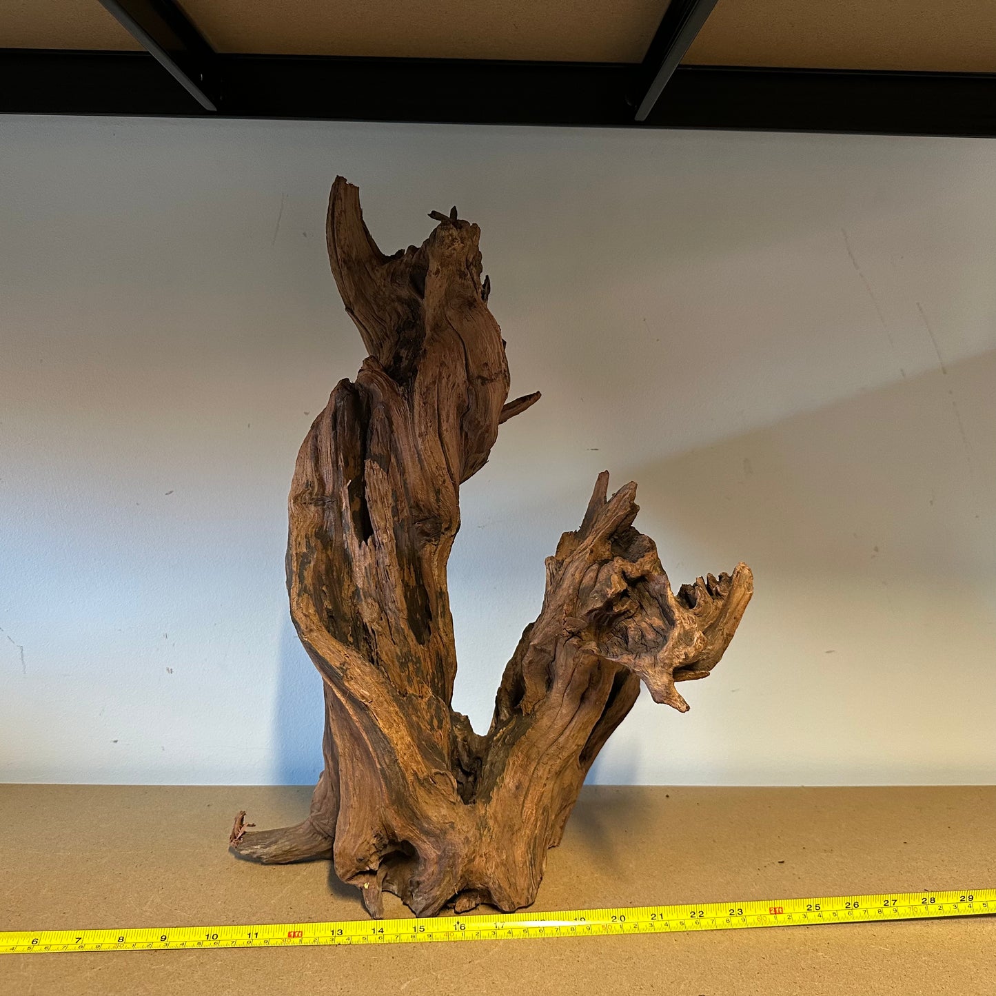 Driftwood (Oversized)