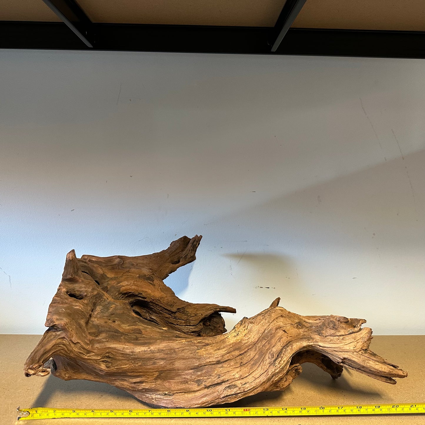 Driftwood (Oversized)