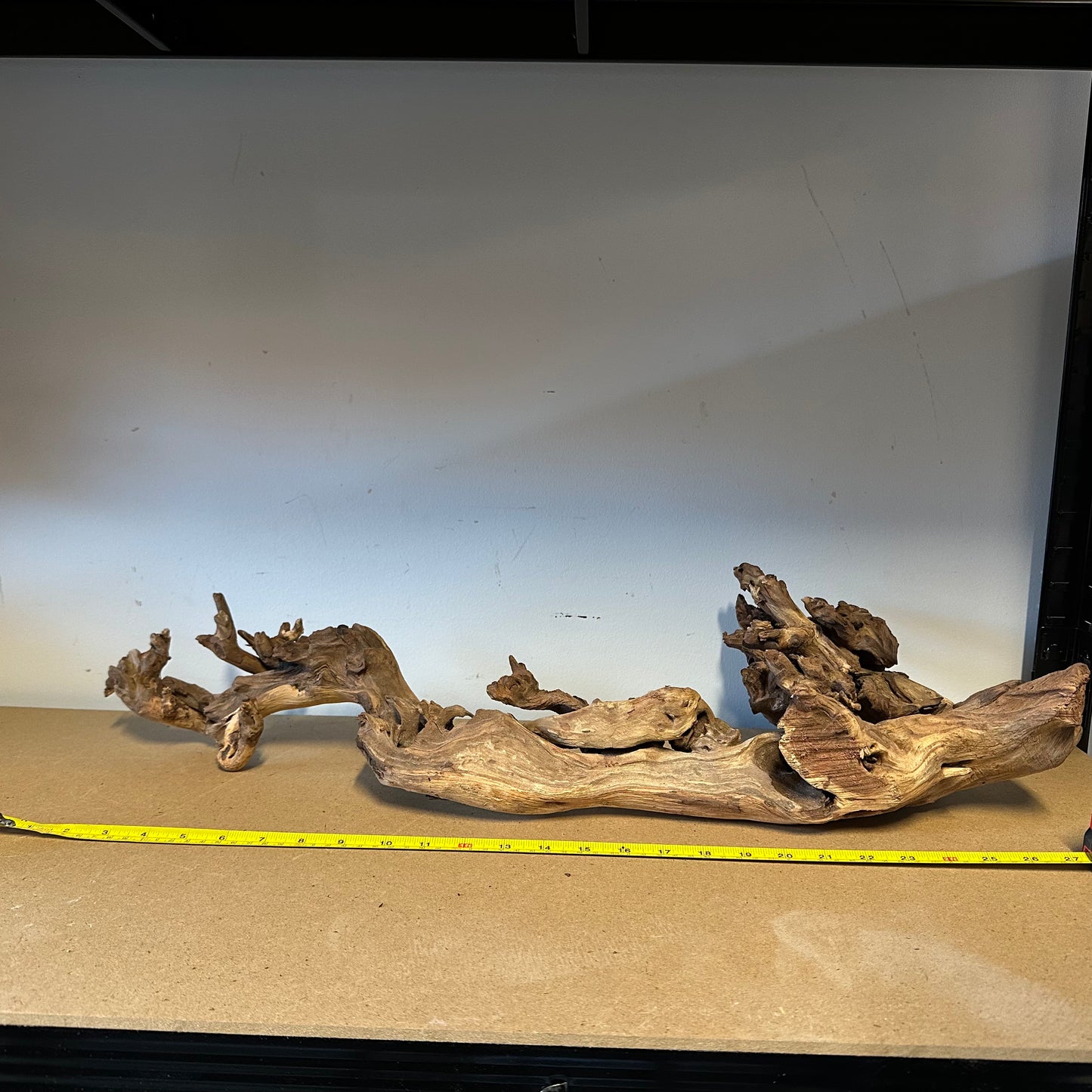 Coral Wood (XX Large)
