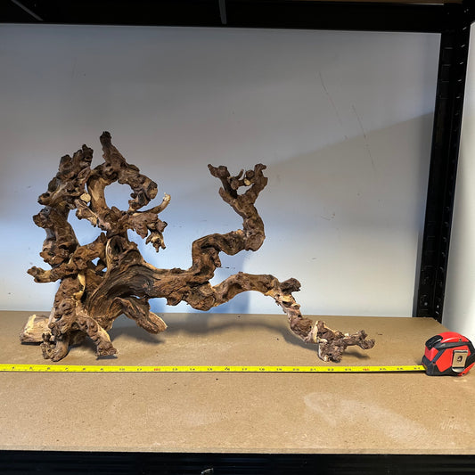 Coral Wood (XX Large)