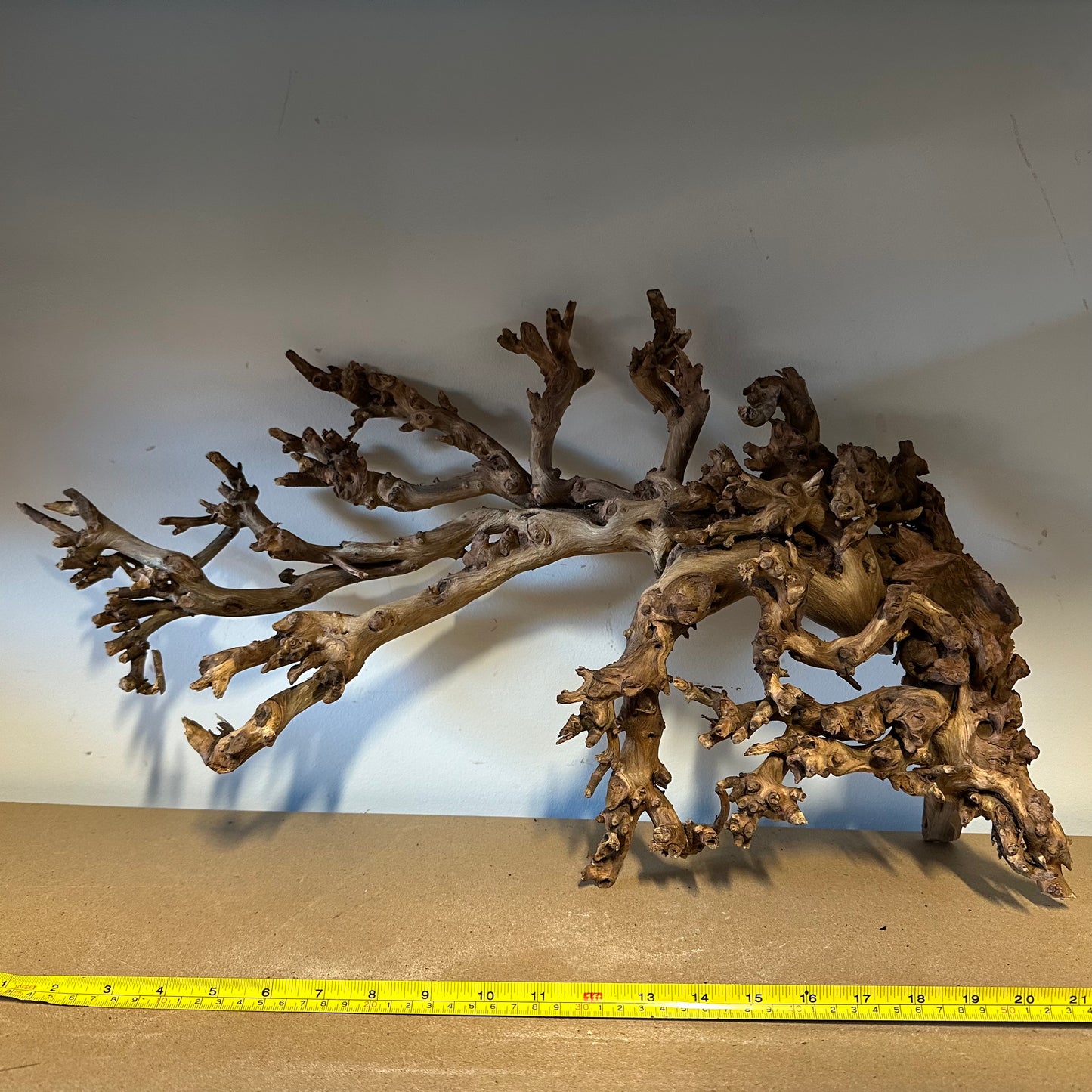 Coral Wood (XX Large)