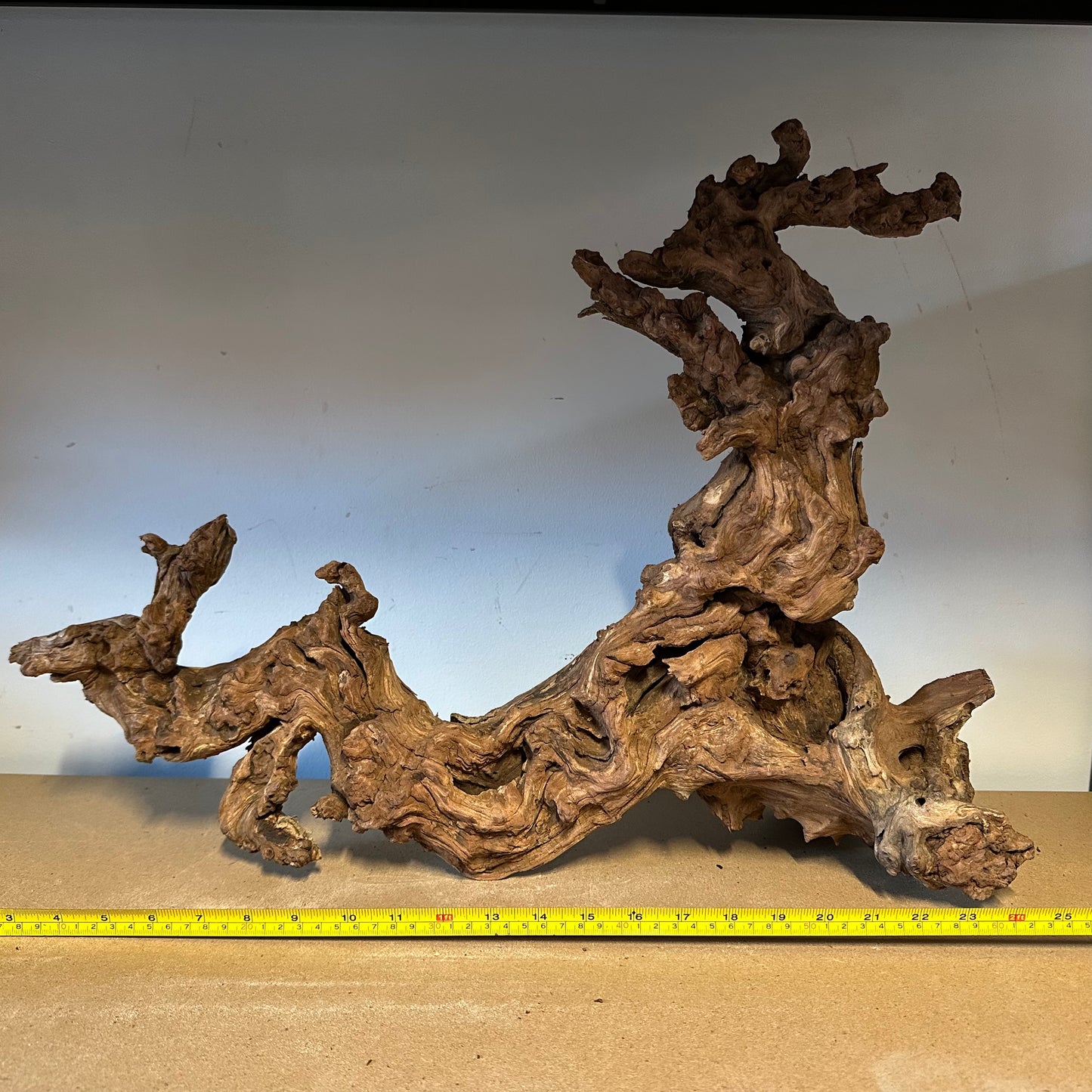Coral Wood (XX Large)