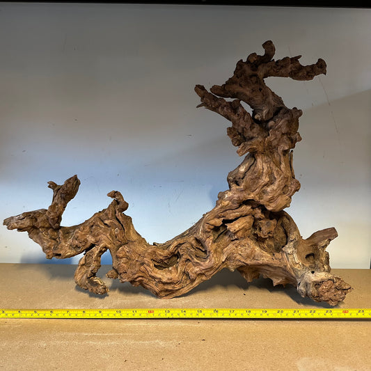 Coral Wood (XX Large)