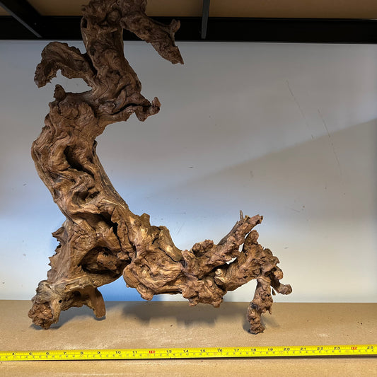 Coral Wood (XX Large)