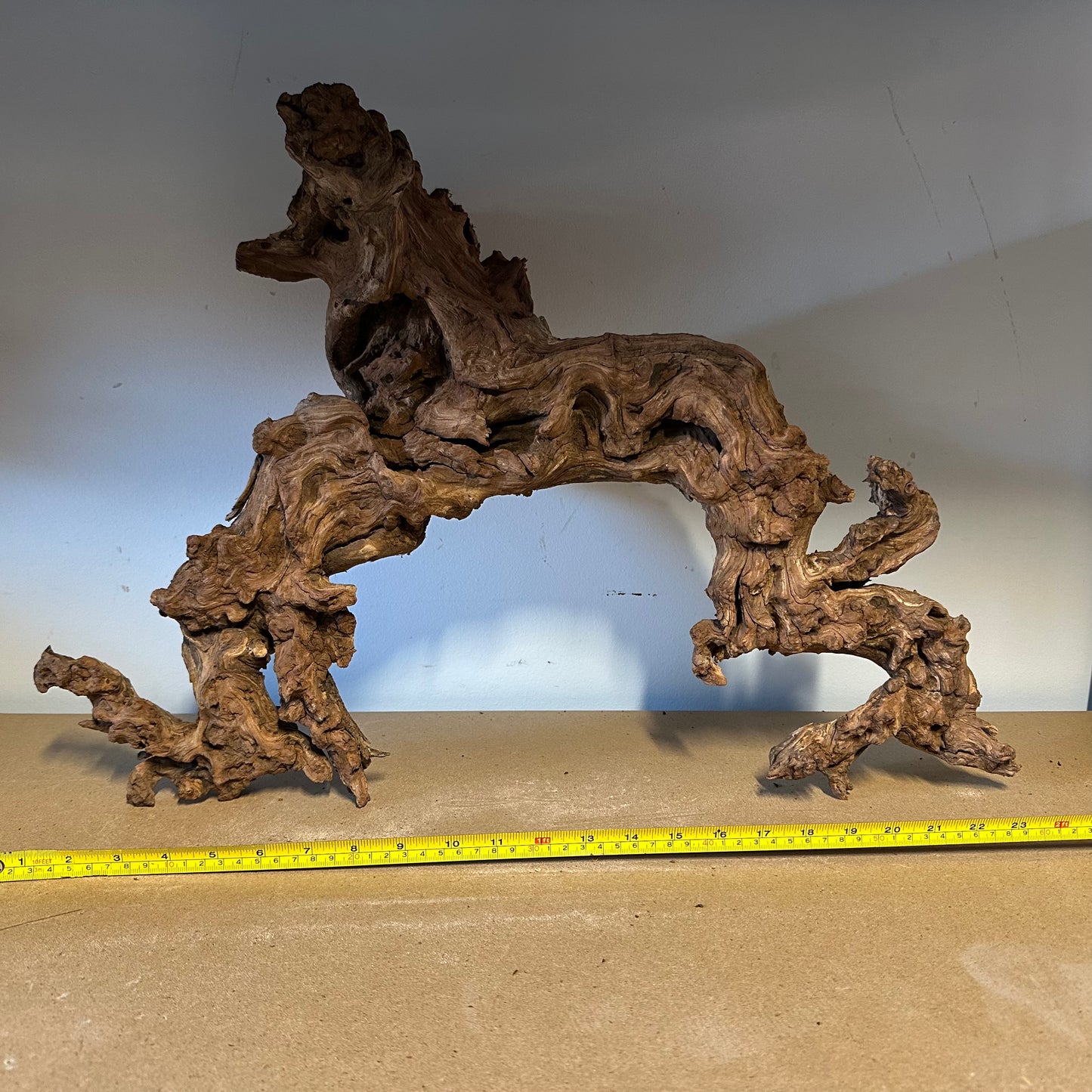 Coral Wood (XX Large)