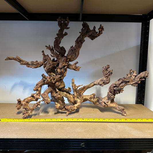 Coral Wood (XX Large)