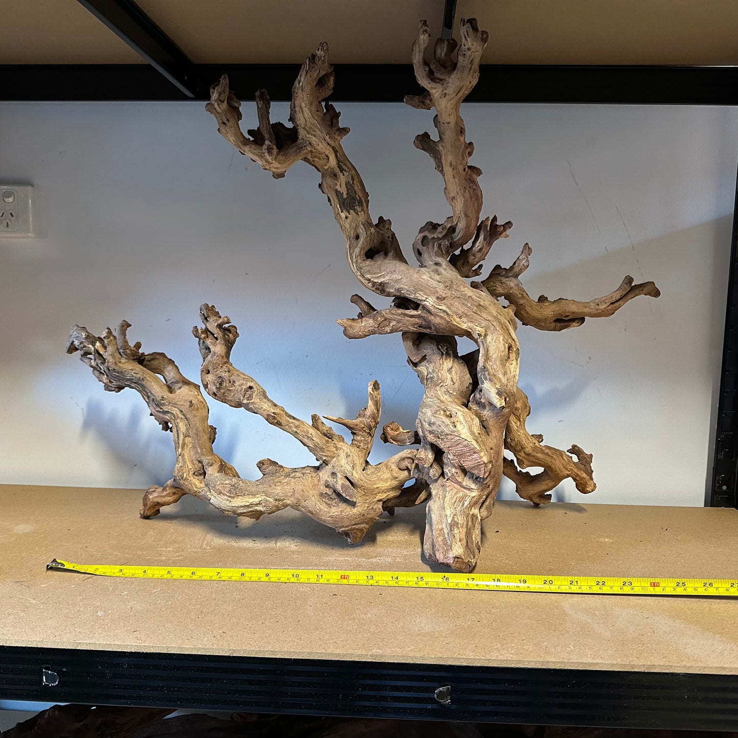 Coral Wood (XX Large)