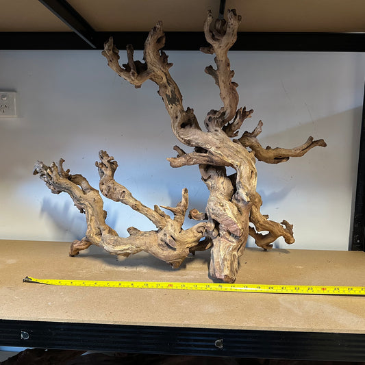 Coral Wood (XX Large)