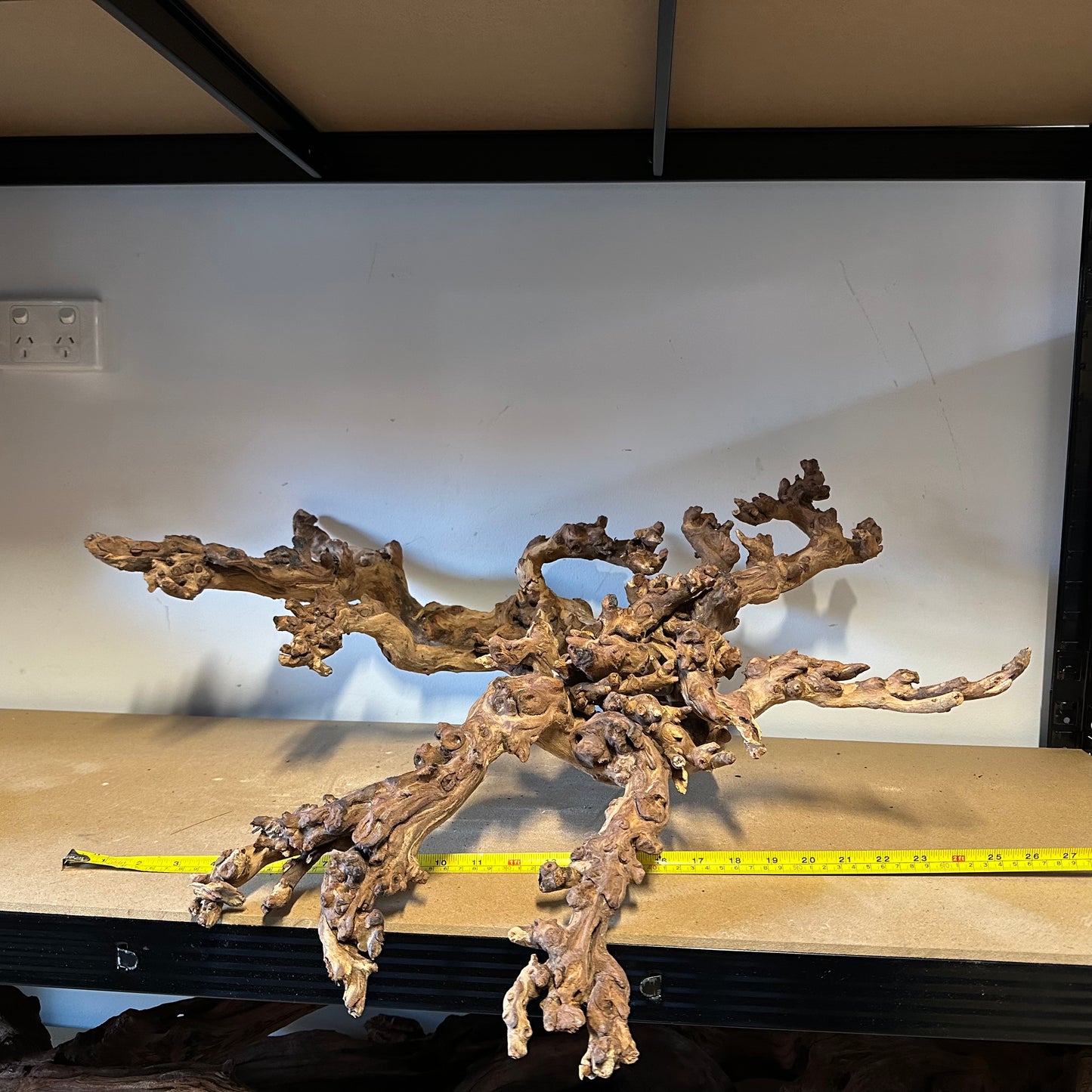 Coral Wood (XX Large)