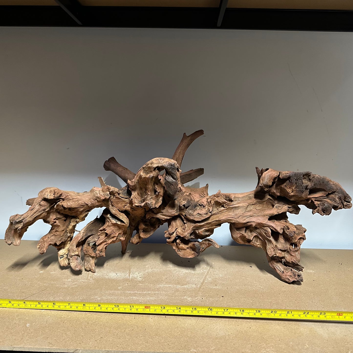 Coral Wood (XX Large)