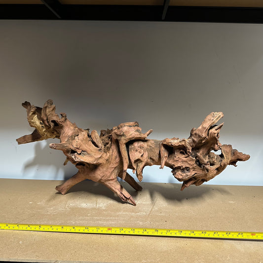 Coral Wood (XX Large)
