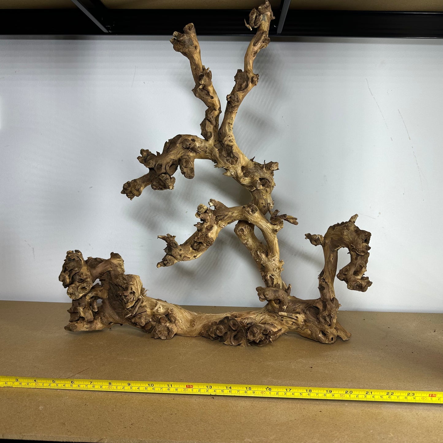 Coral Wood (XX Large)