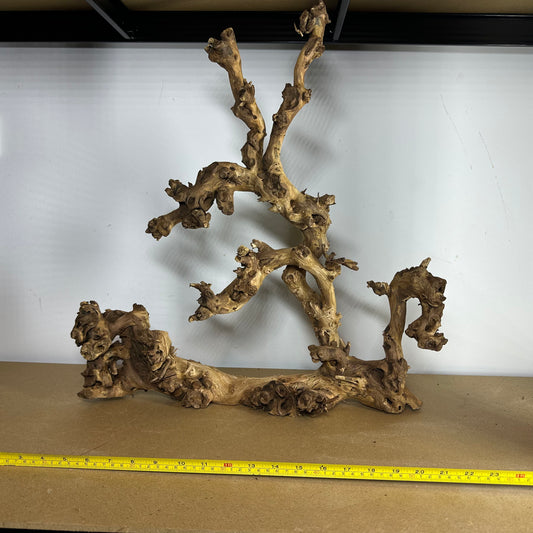 Coral Wood (XX Large)