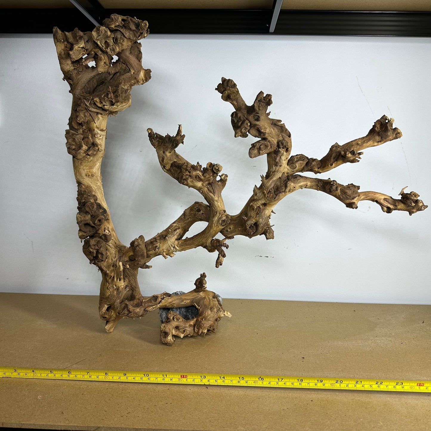 Coral Wood (XX Large)